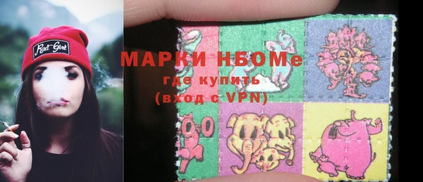 ECSTASY Белокуриха