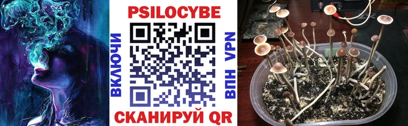 Псилоцибиновые грибы GOLDEN TEACHER  наркота  Котельниково 