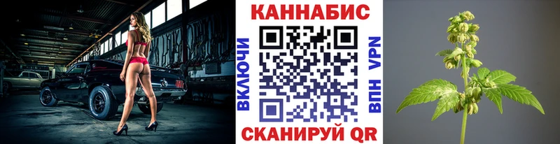 купить наркотик  Котельниково  ОМГ ОМГ ССЫЛКА  Канабис OG Kush 